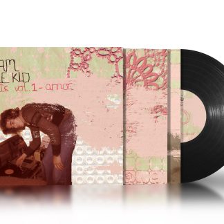 Vinil Beats Vol. 1 - Amor - Sam The Kid